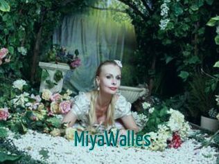 MiyaWalles