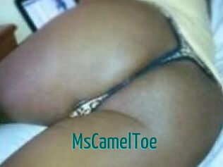 MsCamelToe
