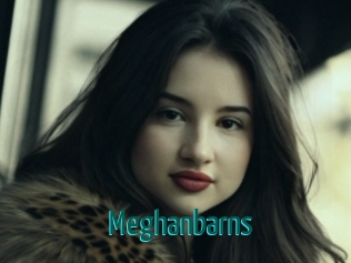 Meghanbarns