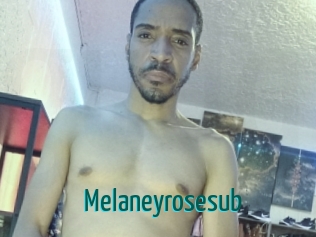 Melaneyrosesub