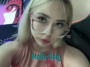 mellieflaig Guide du Queutard
