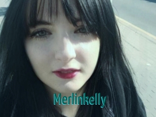 merlinkelly Guide du Queutard