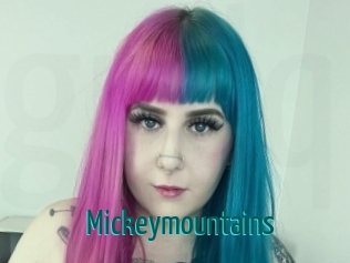 mickeymountains Guide du Queutard
