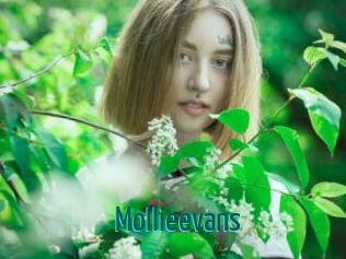 Mollieevans