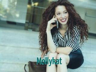 Mollykat