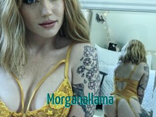 Morganallama