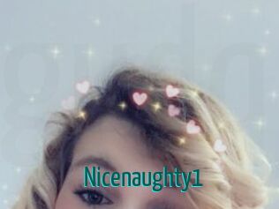 Nicenaughty1