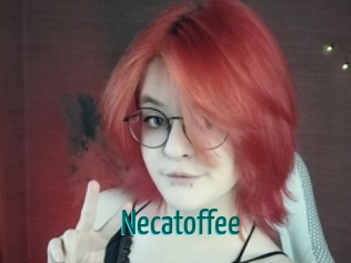 necatoffee Guide du Queutard