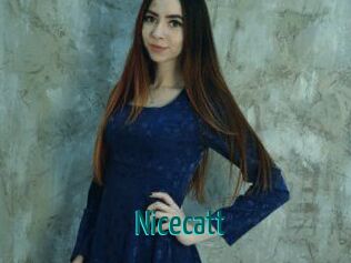 Nicecatt