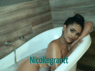 nicollegrantt Guide du Queutard