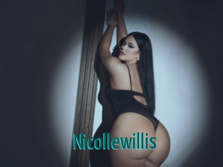 nicollewillis Guide du Queutard
