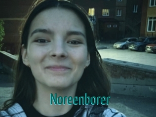 Noreenborer