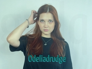 Odeliadrudge
