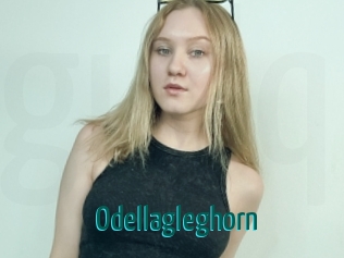Odellagleghorn