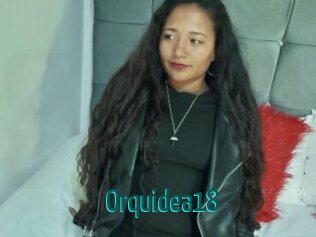 Orquidea18