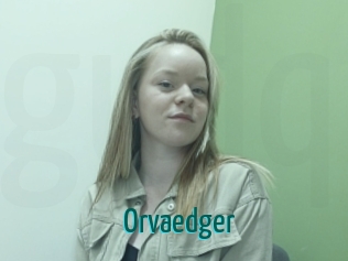 Orvaedger