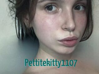 Pettitekitty1107
