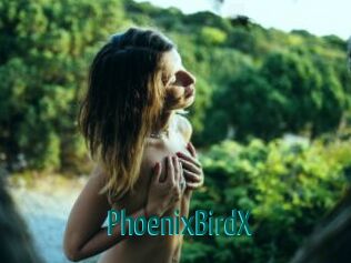 PhoenixBirdX