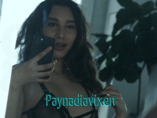 Paynadiavixen