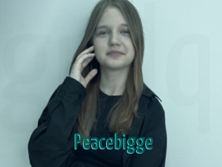 Peacebigge
