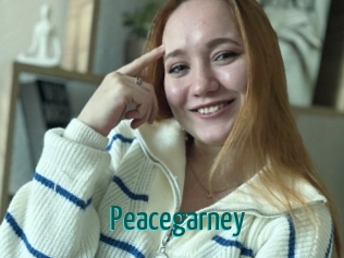 Peacegarney
