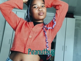 Peanutbug