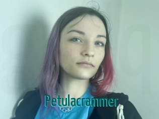 Petulacrammer