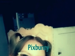 Pixbunny