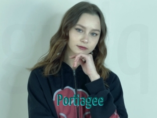 Portiagee