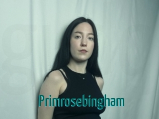 Primrosebingham