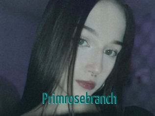 Primrosebranch