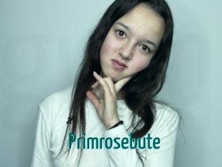 Primrosebute