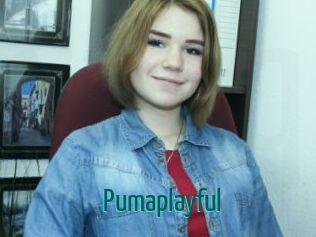 Pumaplayful