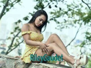 RileyGaudet Guide du Queutard
