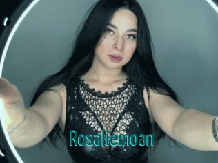 rosaliemoan Guide du Queutard