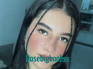 Rosebigboobss
