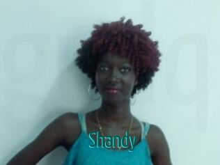 Shandy