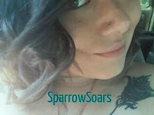 SparrowSoars