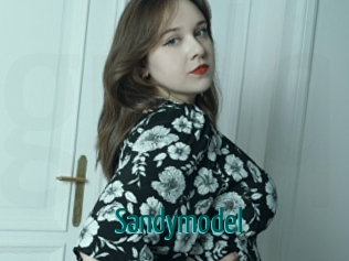 Sandymodel