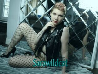 Sarawildcat