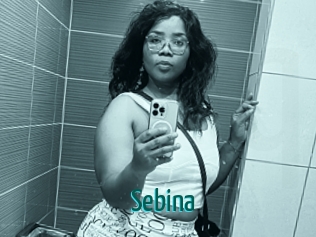 Sebina