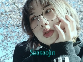 Seosoojin