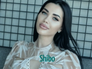 Shibo