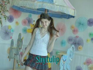 Shytulip