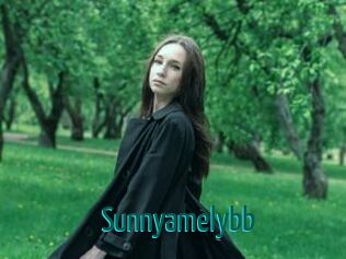 Sunnyamelybb