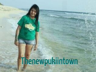 Thenewpukiintown Guide du Queutard