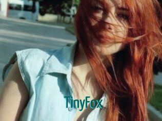 TinyFox Guide du Queutard