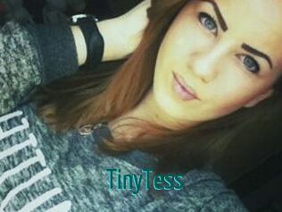 TinyTess