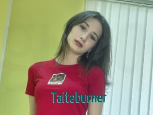 Taiteburner
