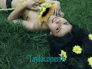 Taylacoperrk